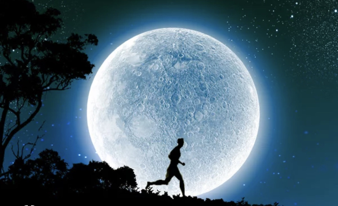 Séance du jeudi 5 février 2026