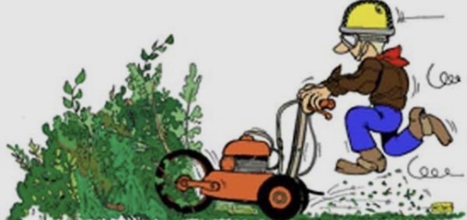 Nettoyage des chemins Ti’Trai