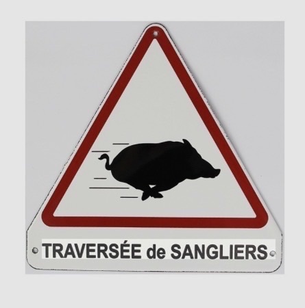 Séance du Jeudi 12 mars 2026