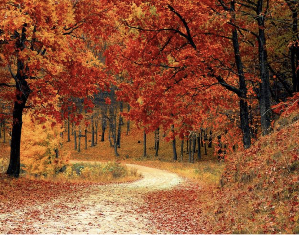 Séance du jeudi 26 mars 2026