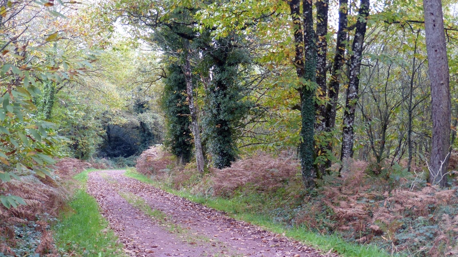 Entrainement du 28 Avril 2026