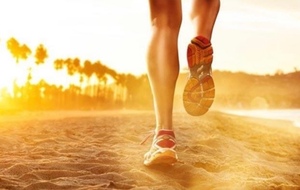 séance du jeudi 6 novembre 2025