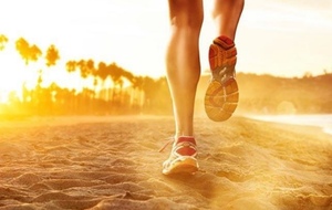 Sortie du 11 Novembre 2025