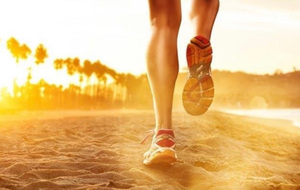 Séance du Mardi 24 mars 2026