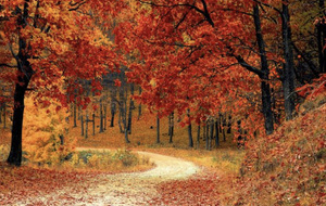 Séance du jeudi 26 mars 2026