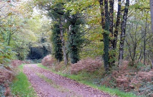 Entrainement du 28 Avril 2026