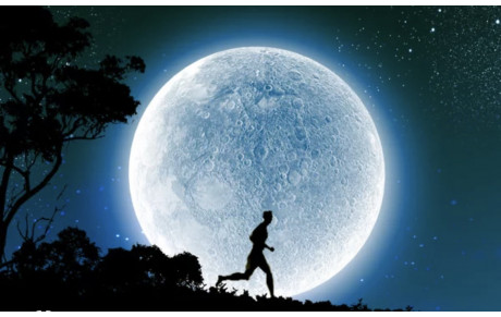 Séance du jeudi 5 février 2026